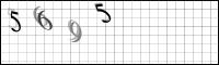 Captcha Bild